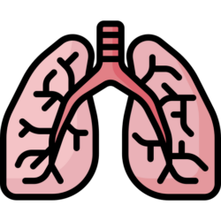 Pneumologie